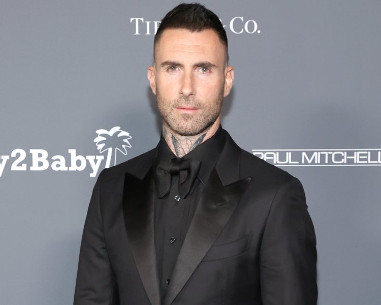 More women are claiming that Adam Levine sent flirty DMs via social media after Sumner Stroh.